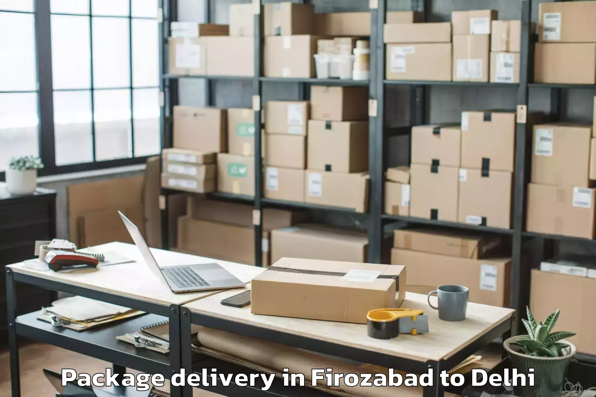 Book Firozabad to Sansad Marg Package Delivery